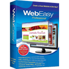 Web Easy Professional 10